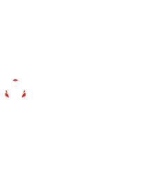Phone Ready Leads 